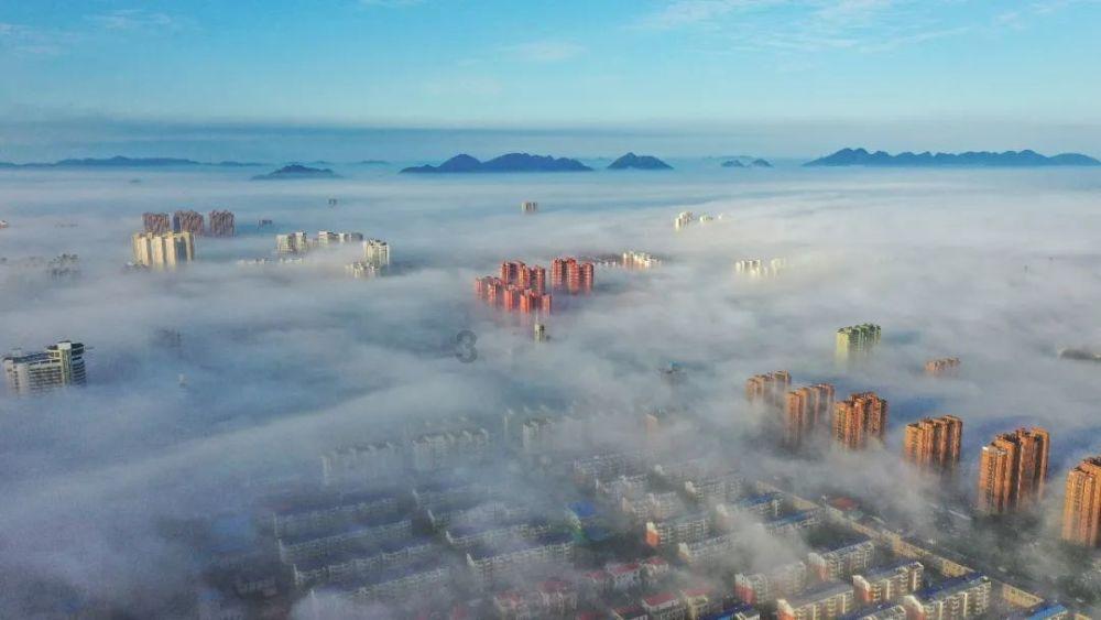 表格字体怎么调整一致?-专业问答平台-解答您的疑问