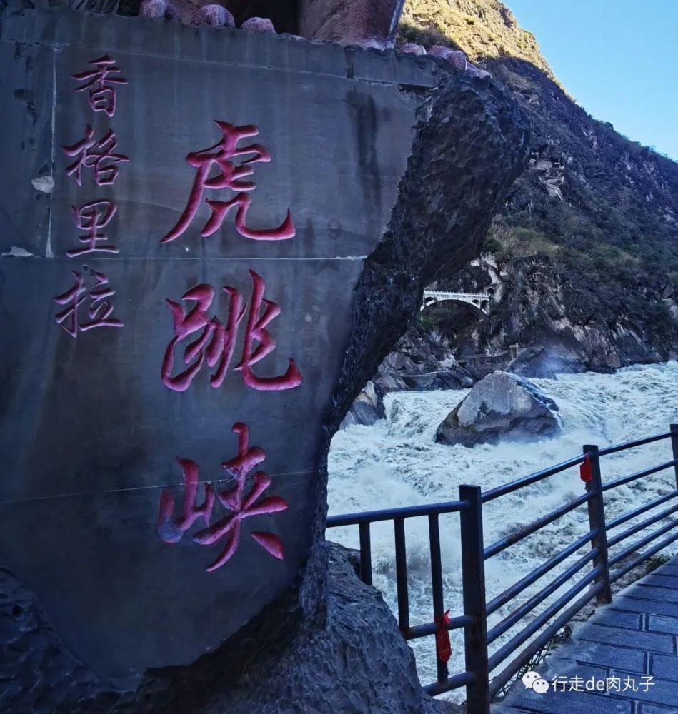想要养肝护肝，保证肝脏健康？医生：日常需牢记这5件事！