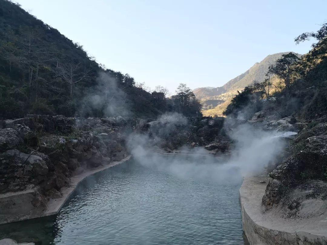 臭虫怎么消灭最彻底游戏画面
