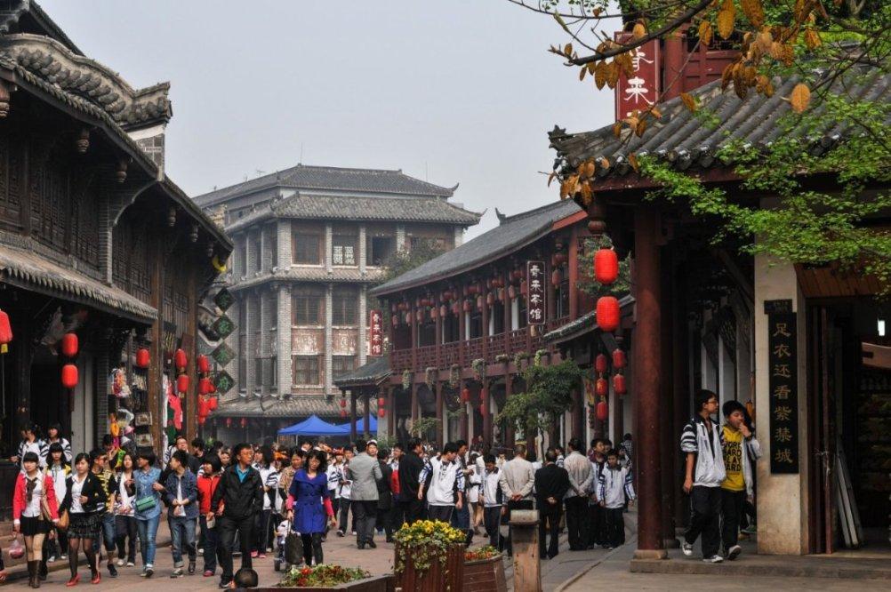 动物帮帮忙保卫家园